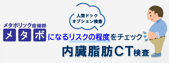 メタボになるリスクの程度を調べる内臓脂肪CT検査
