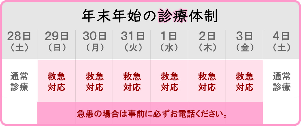 年末年始の診療体制