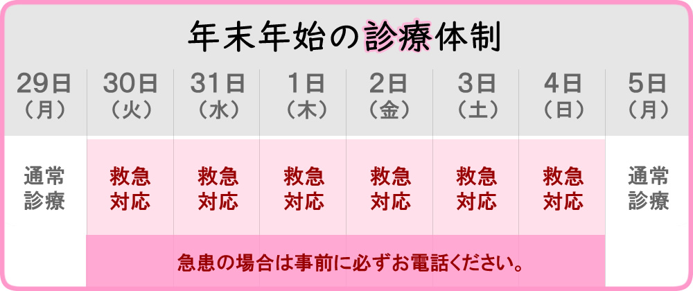 年末年始の診療体制