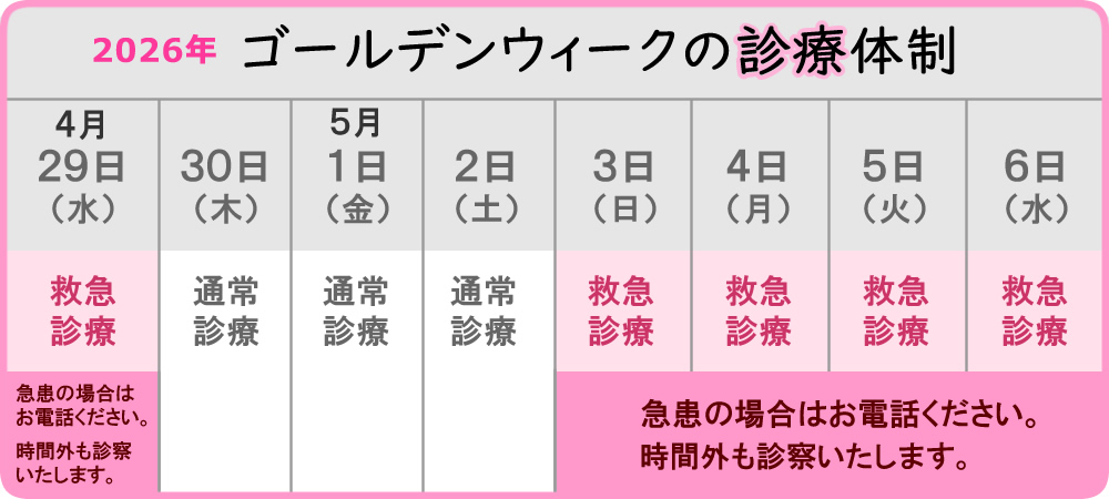 2026年ゴールデンウィークの診療体制